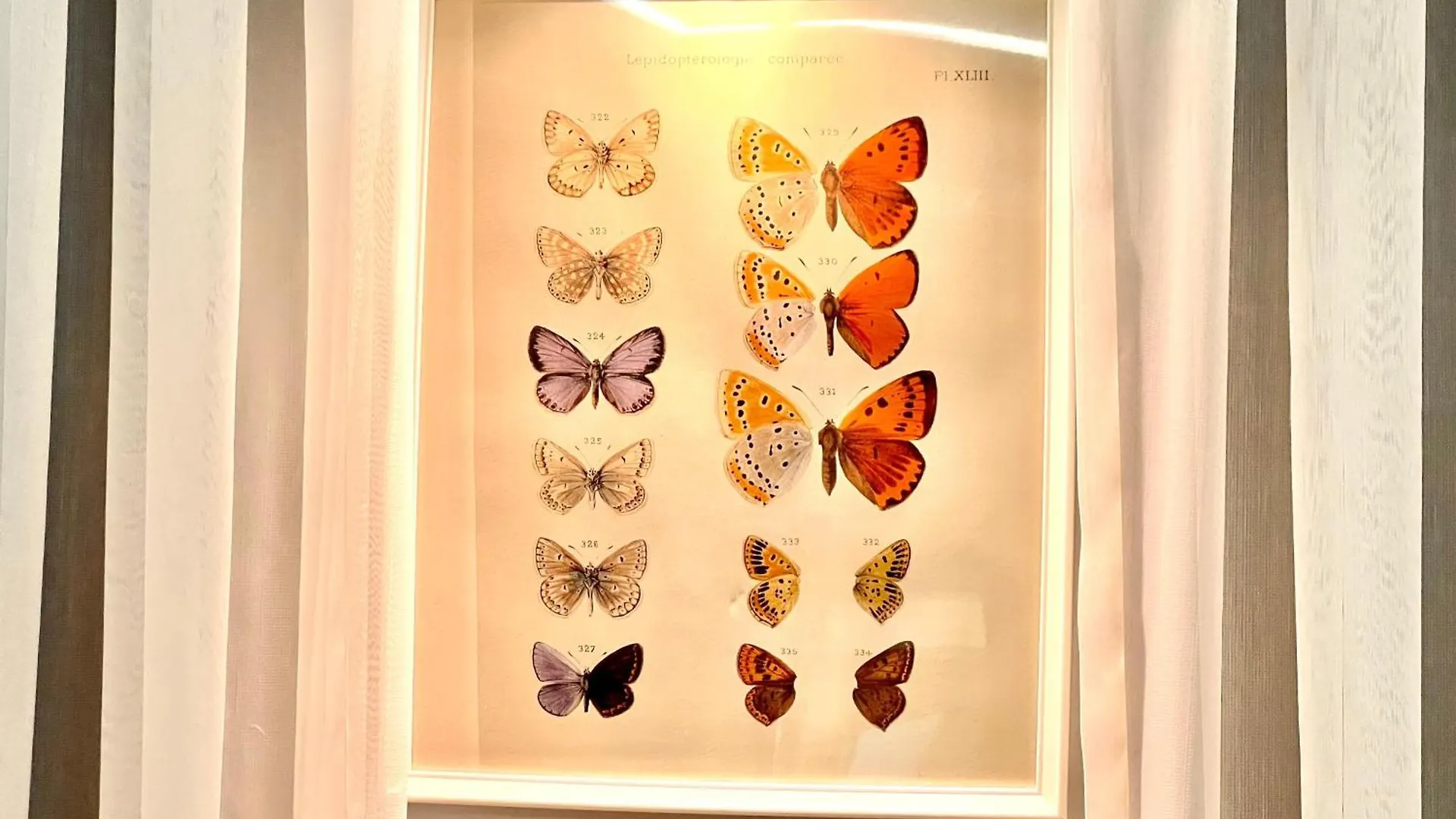 White Inn Taksim 이스탄불 아파트호텔